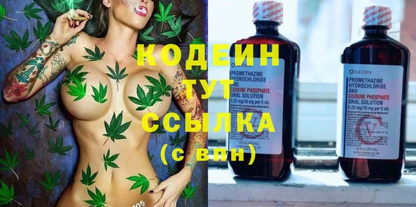 амф Горняк