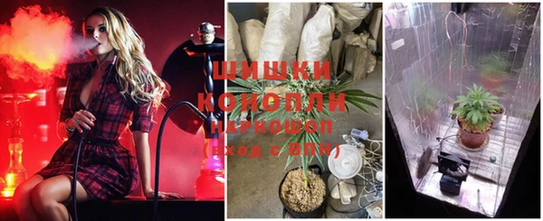 каннабис Балахна